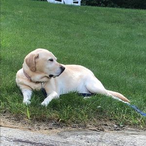 Meet your Posher, Patricia